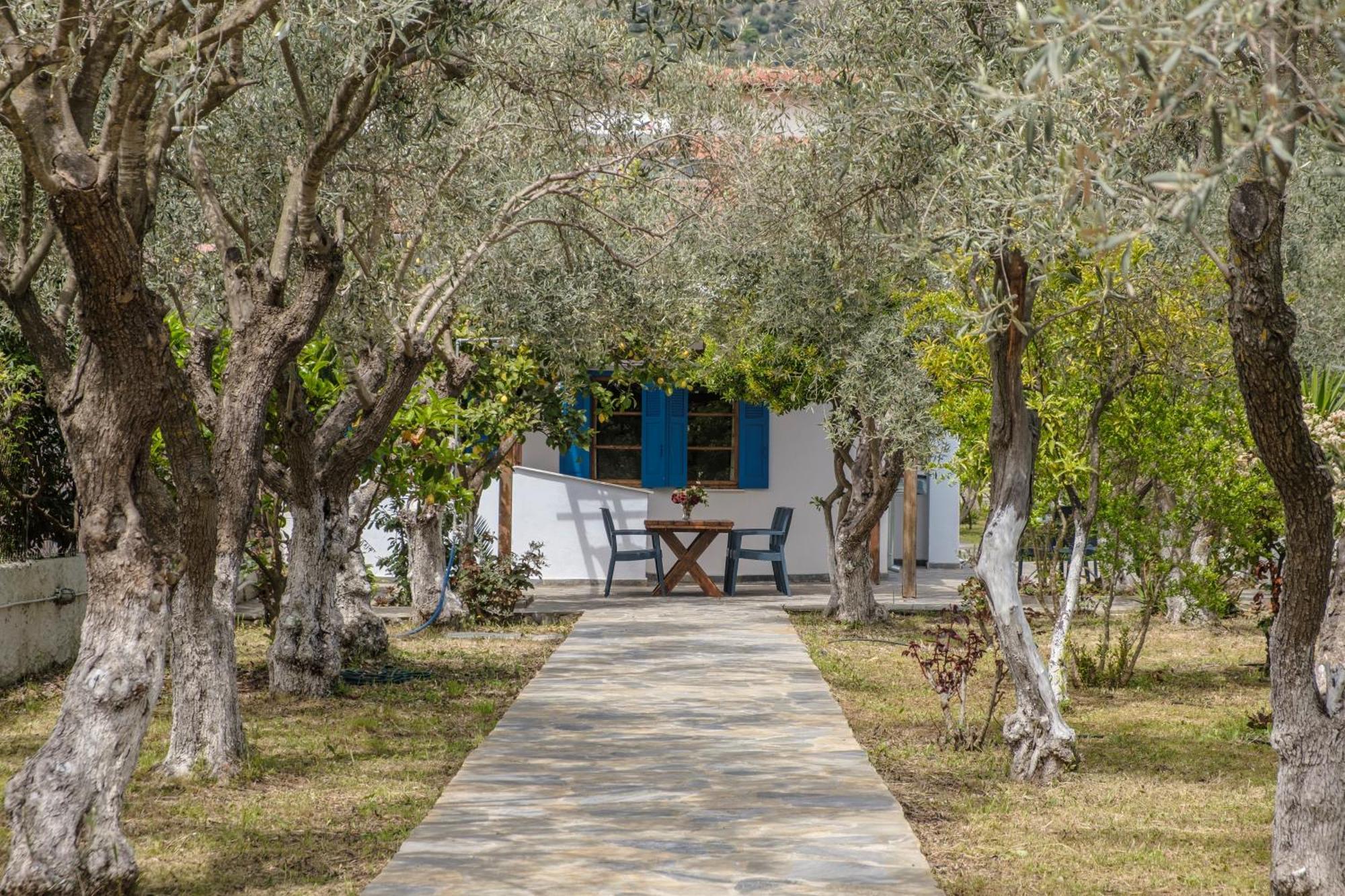 Seaside Resort Kritharia  外观 照片
